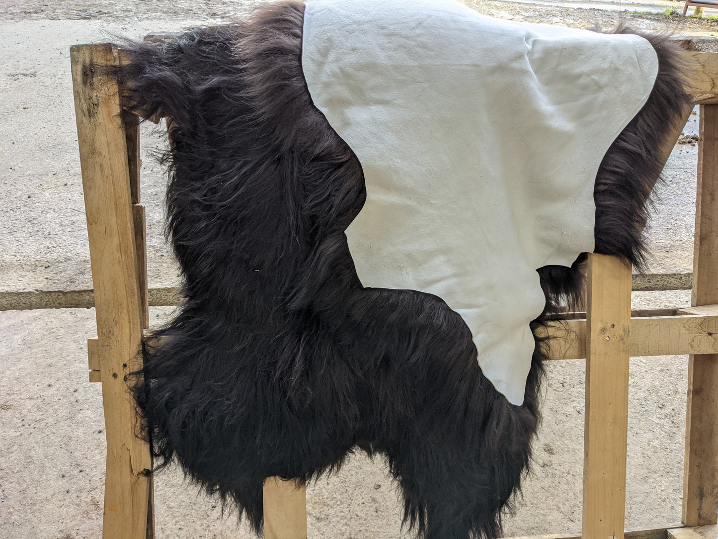 2 rugs side by side, showing the front and back of a Close up of the 6 inch fur on Black Sheepskin Rug