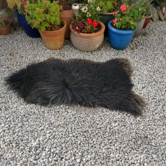 Black Sheepskin Rug showing depth of natural colour
