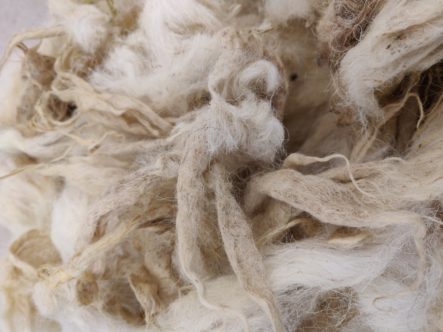 White Boreray Fleece
