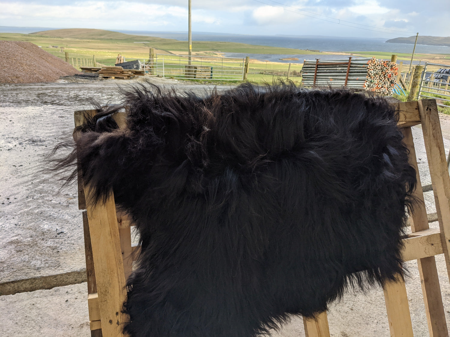 Natural Black Sheepskin Rug - Shows the depth of the natural colour