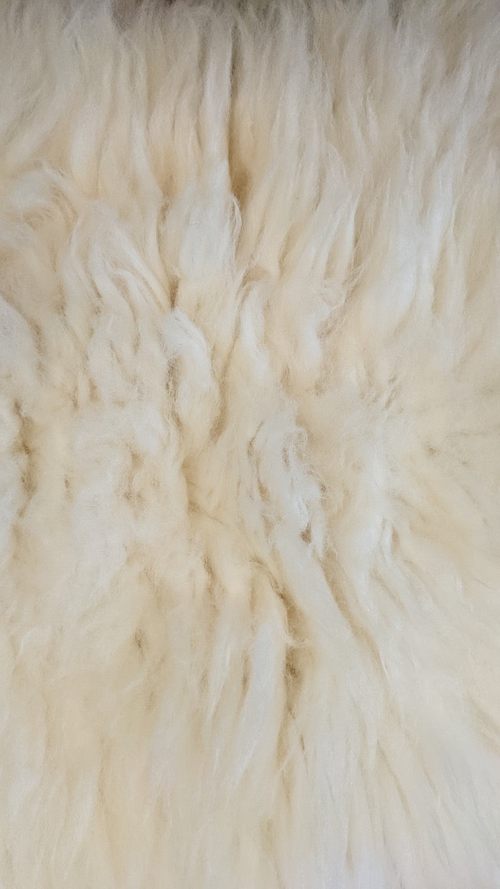 Shetland White Sheepskin