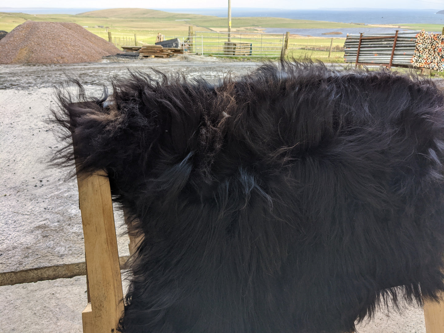 Fur of Long Pile Black Lambskin 