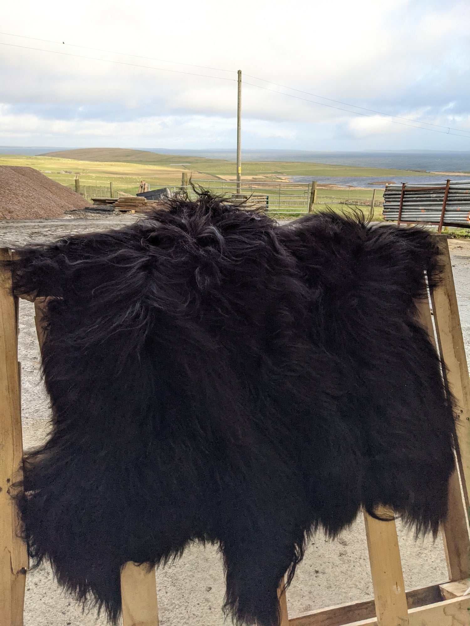 2 Black Lambskin Rugs side by side, with the farm in the background
