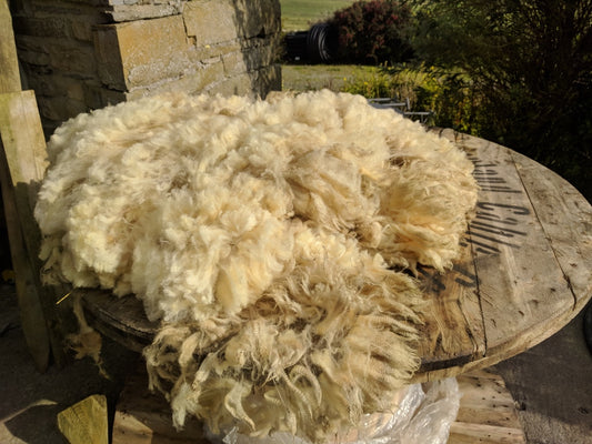 White Spinning Fleece