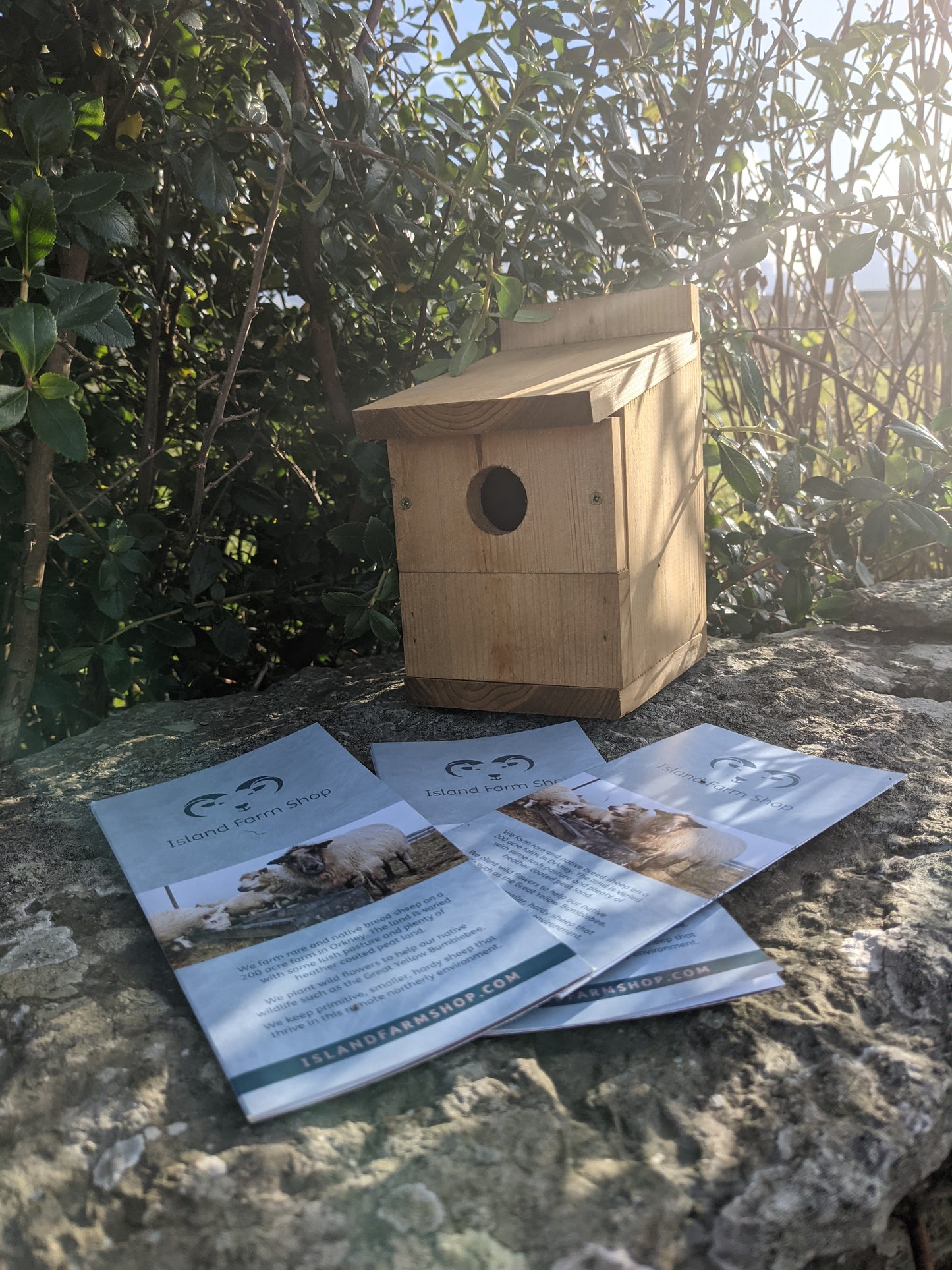 Johnston and Jeff Multinester Bird Box, suitable for many small garden birds. This image shows the removable panel on the box