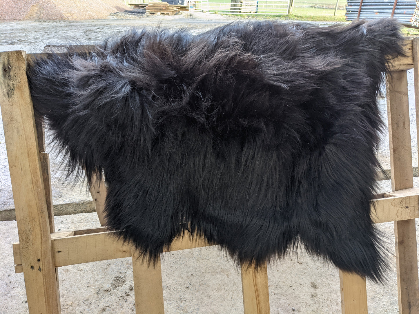 Large Black Sheepskin