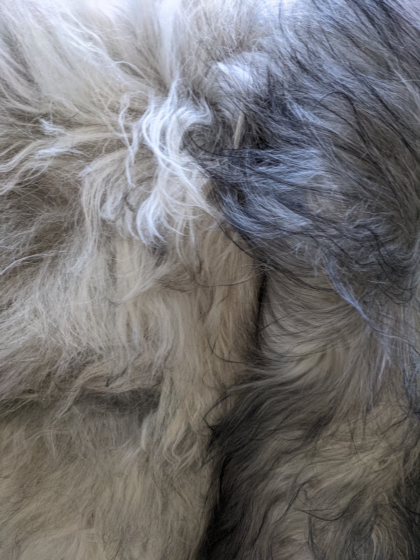 Light and Mid coloured Grey Sheepskin Rug