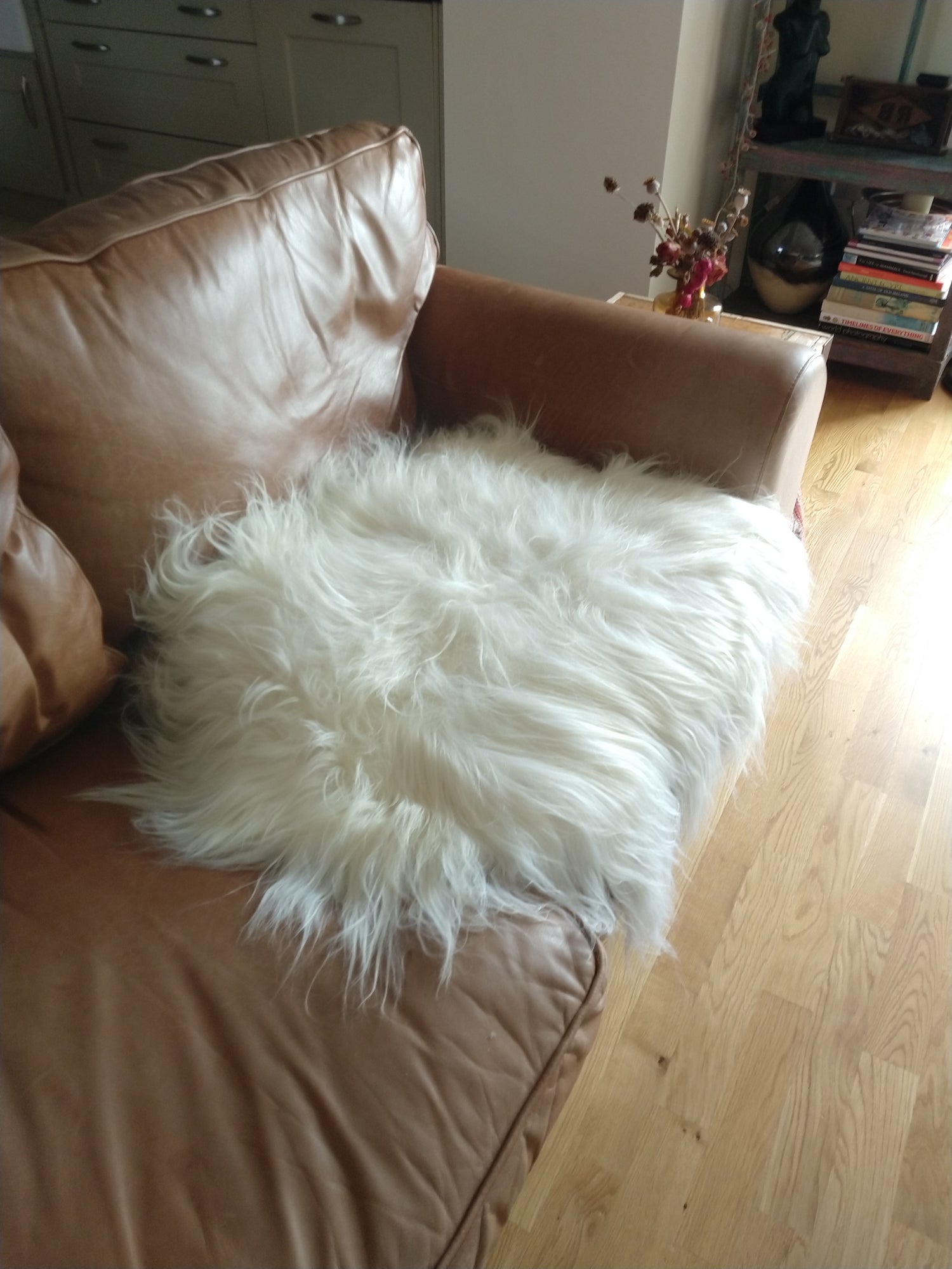 Shape of the fur of an Icelandic sheepskin rug
