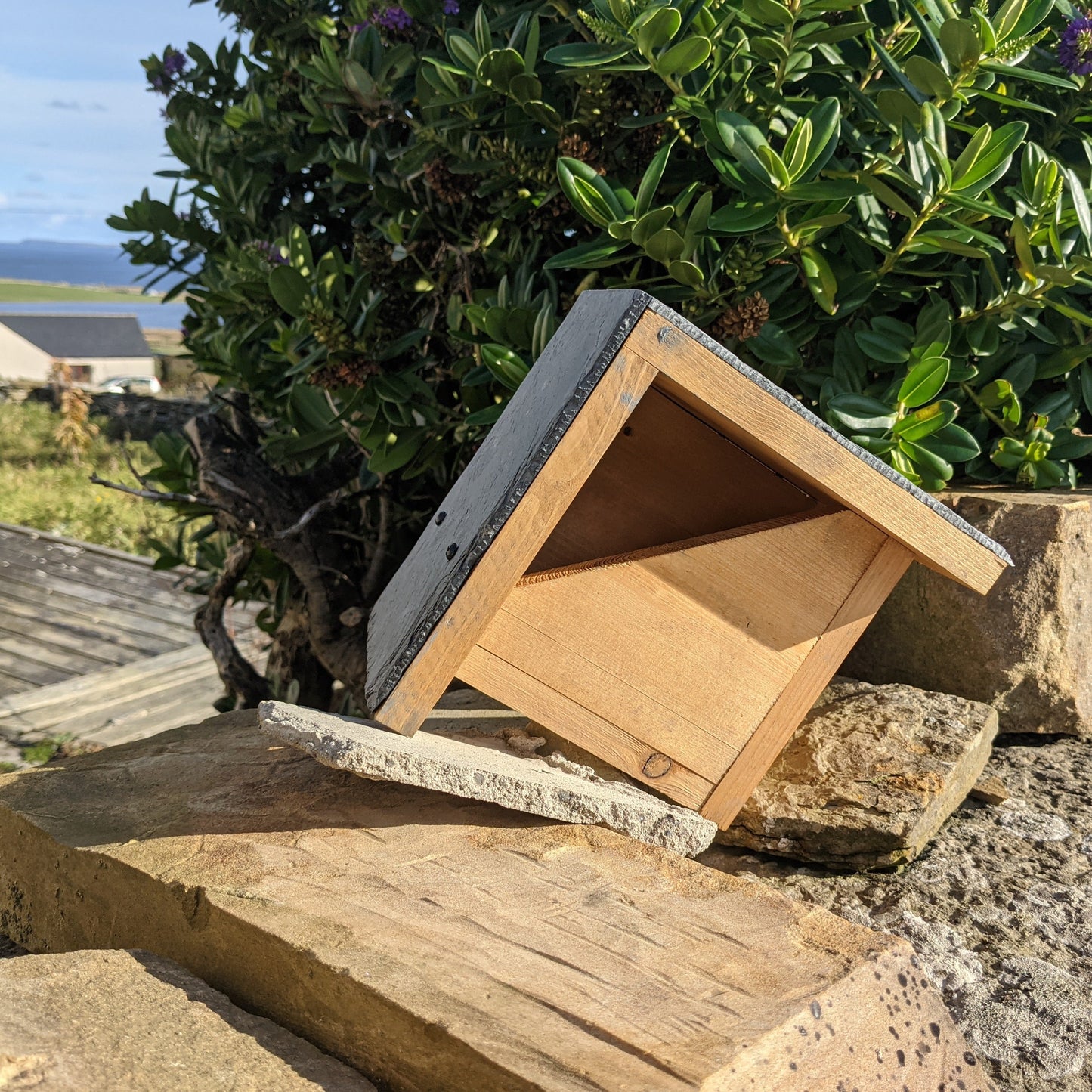Front of Robin Nest box showing the entrance for the birds