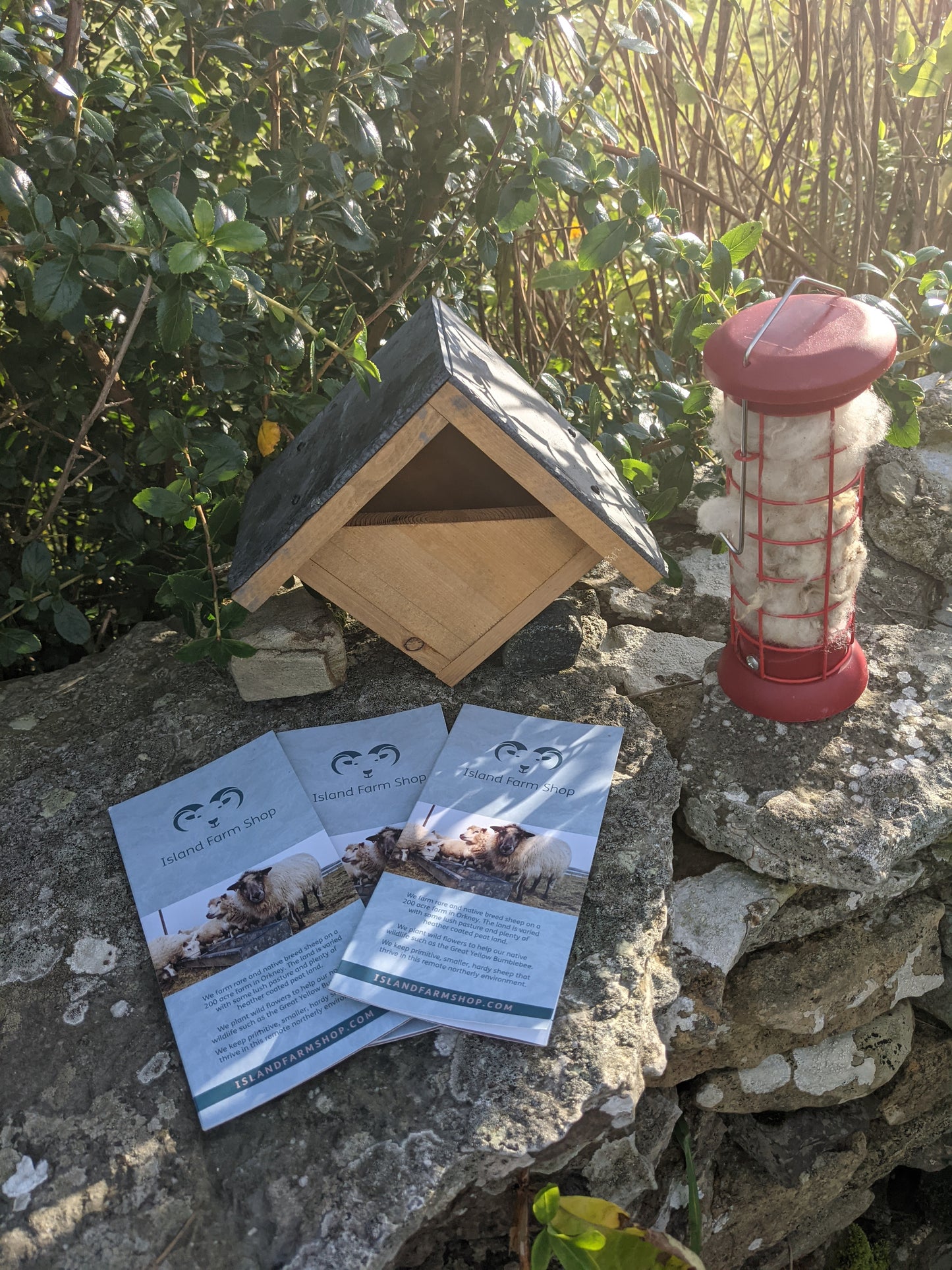 Robin Nesting and Feeding Gift Slate