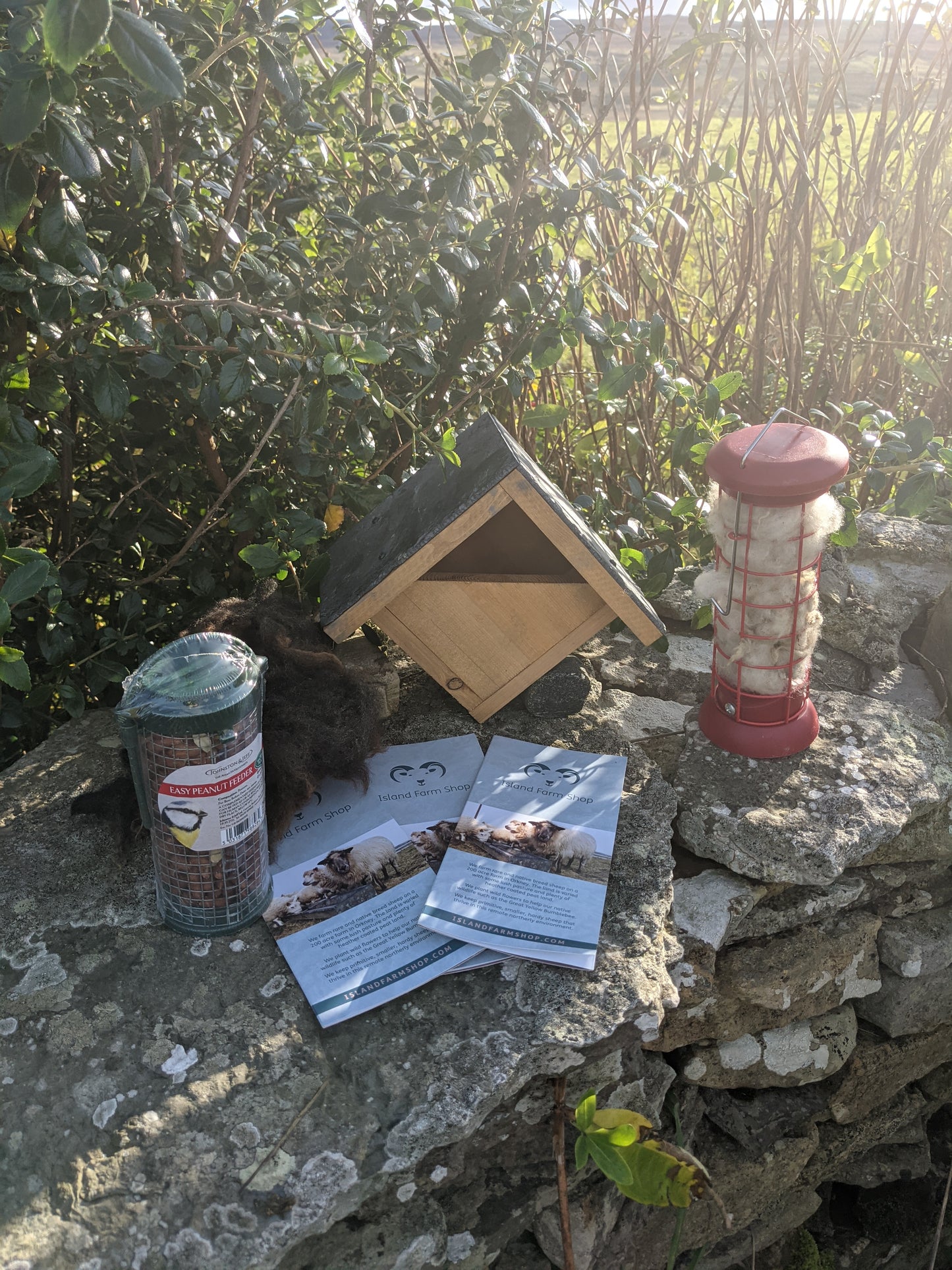 Robin Nesting and Feeding Gift Slate