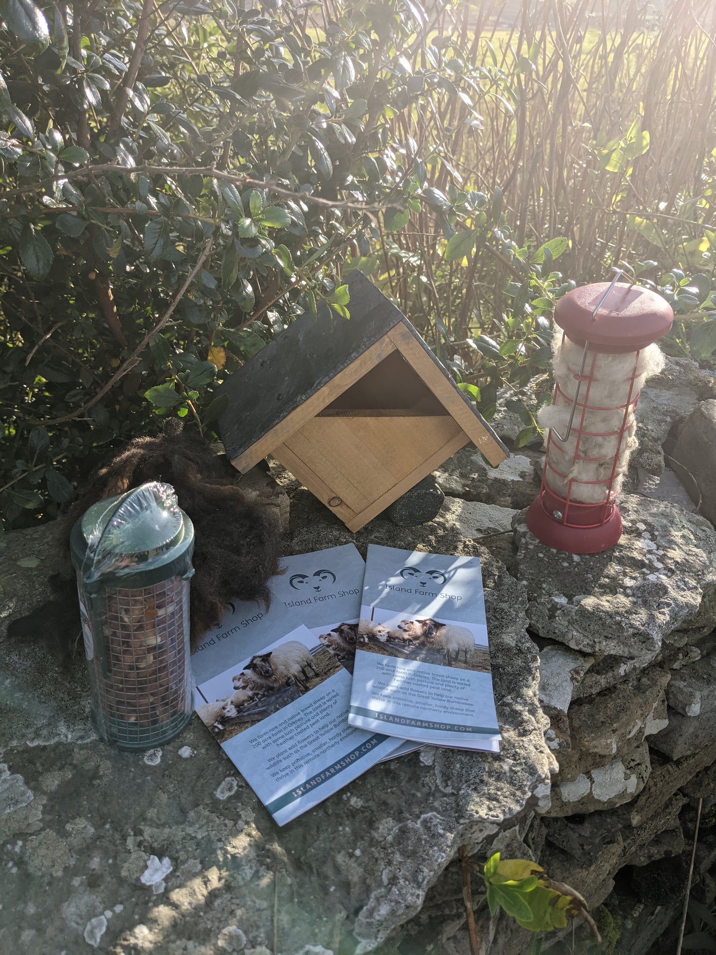 Robin Nesting and Feeding Gift Slate