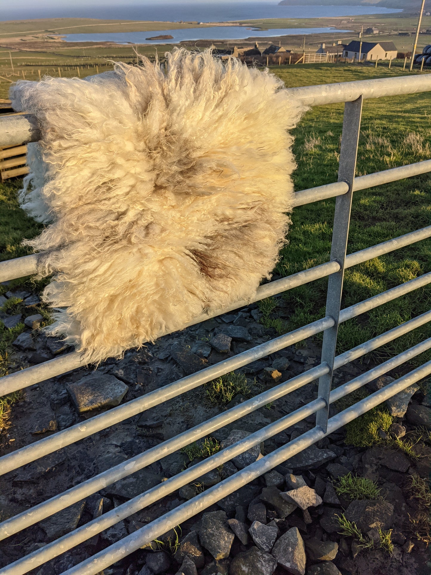 Light Grey And White Felted Vegetarian Rug