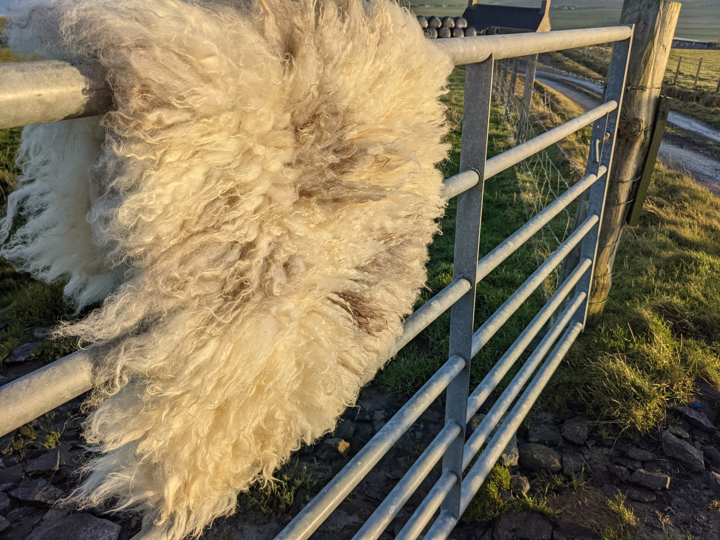 Light Grey And White Felted Vegetarian Rug