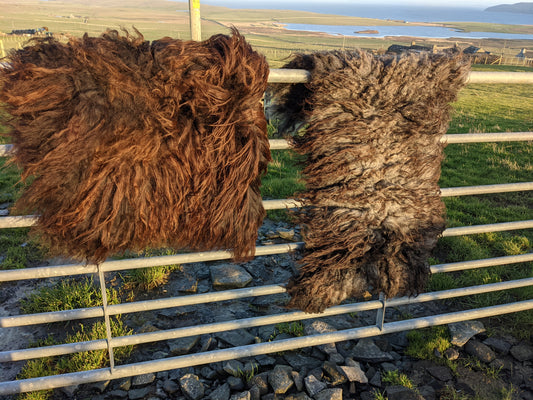 Black Hebridean Felted Rugs in the sunshine on the farm
