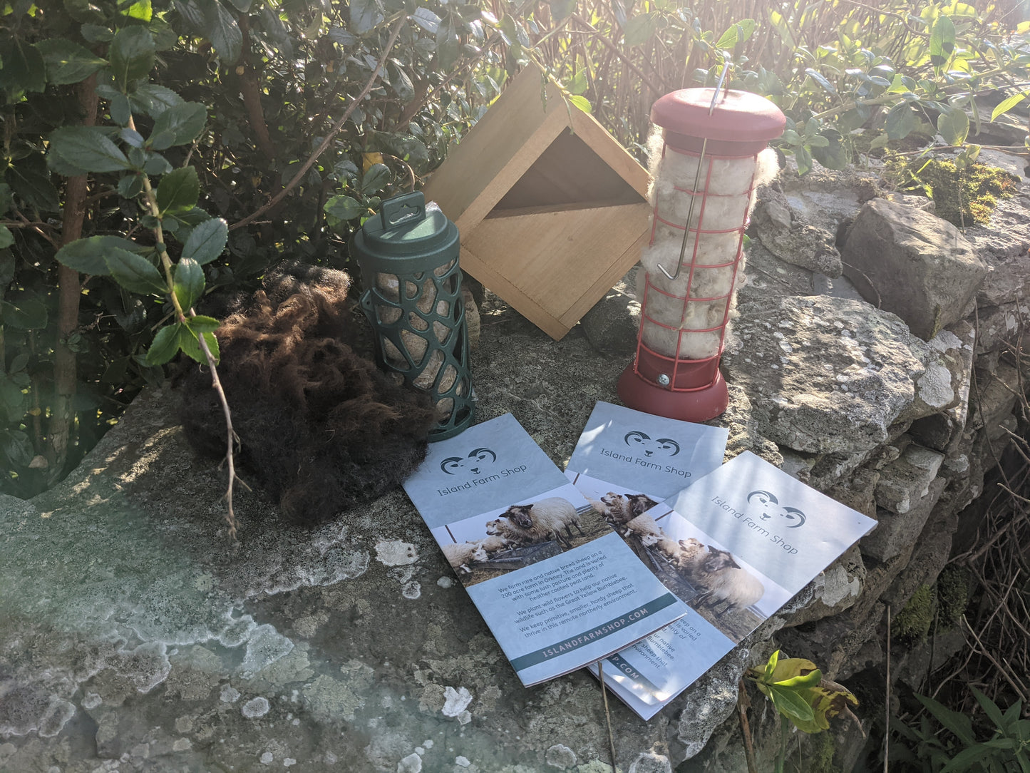 Robin Nesting and Feeding Garden Set