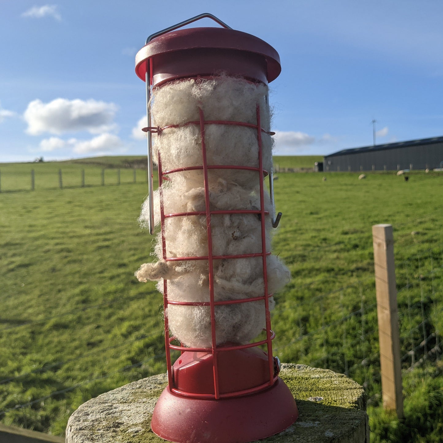 Wild Bird Nesting Material Set