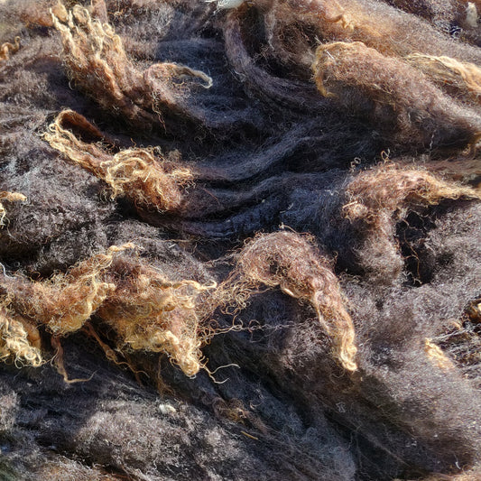 Texture of Shetland Fleece