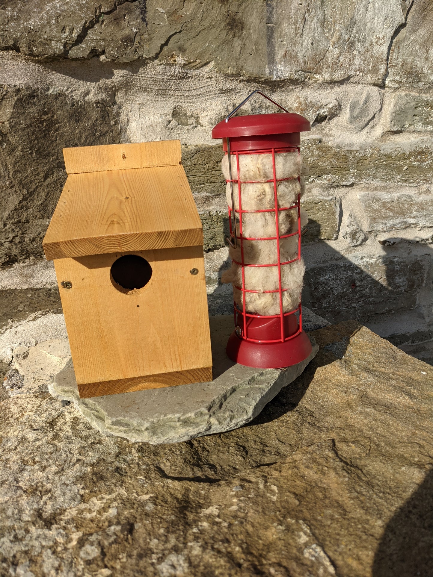 Wild Bird Nesting Set